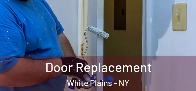 Door Replacement White Plains - NY
