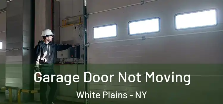  Garage Door Not Moving White Plains - NY