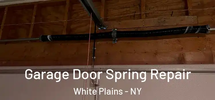 Garage Door Spring Repair White Plains - NY