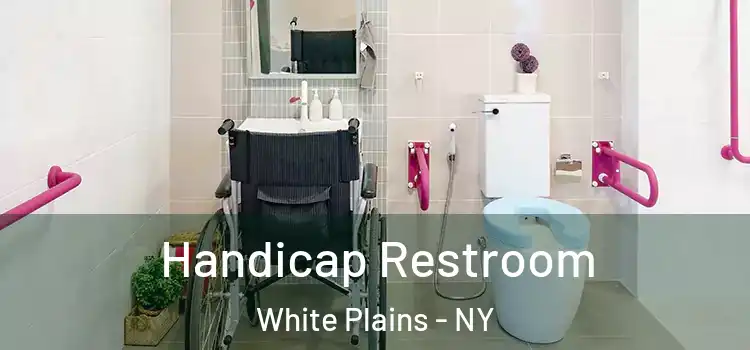Handicap Restroom White Plains - NY