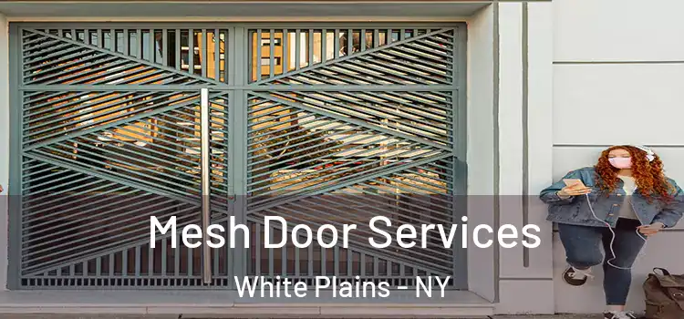 Mesh Door Services White Plains - NY