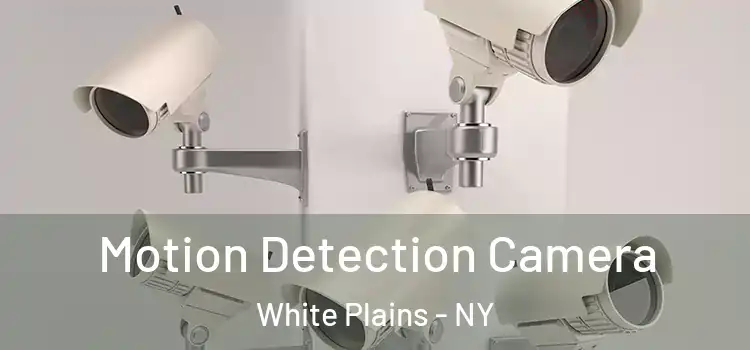  Motion Detection Camera White Plains - NY