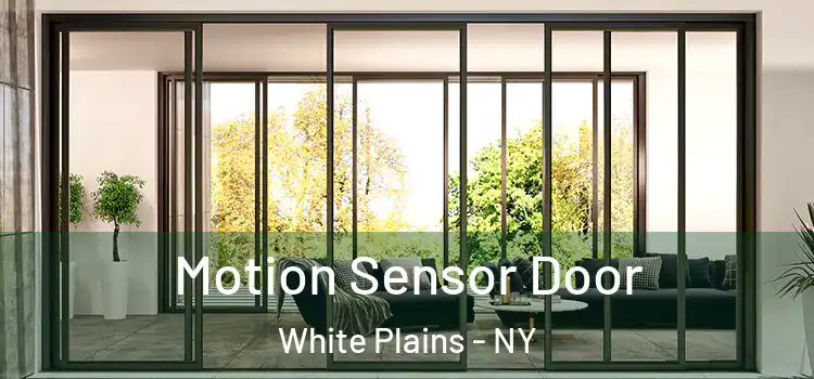 Motion Sensor Door White Plains - NY
