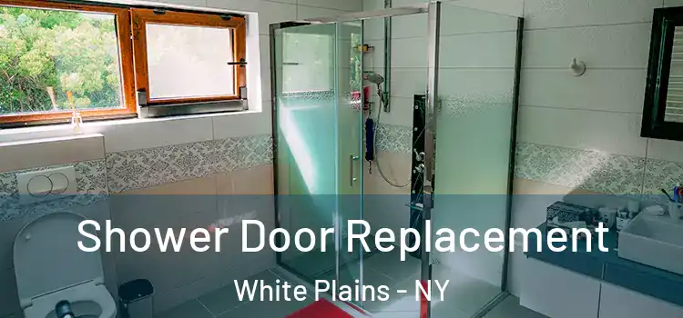 Shower Door Replacement White Plains - NY