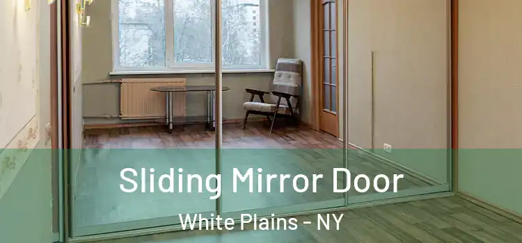  Sliding Mirror Door White Plains - NY